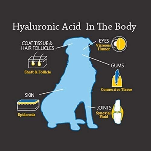 Essential Joint Aid for Dogs