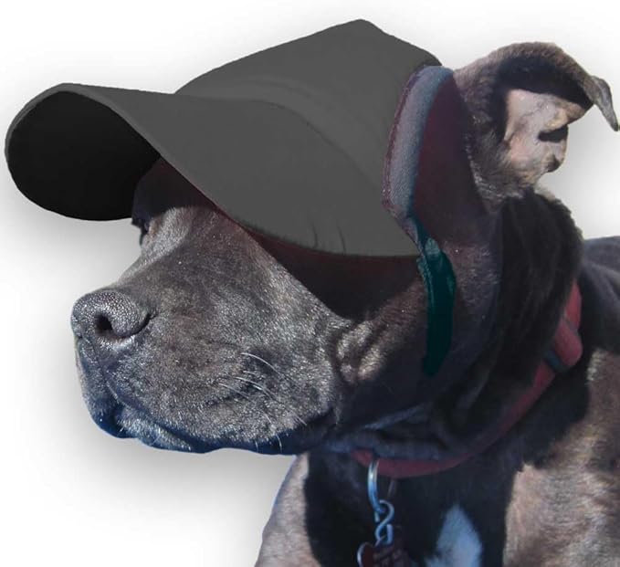 Cute and Easy Adjusting Pet Hats