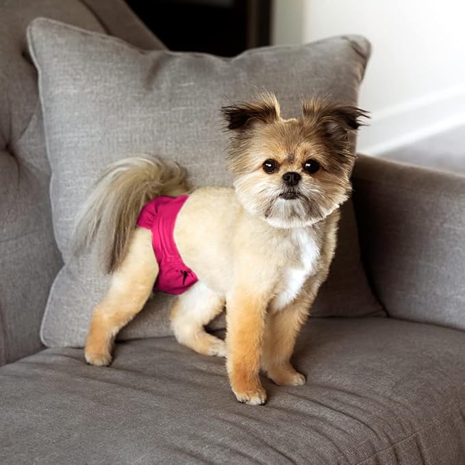 Washable Pet Diapers