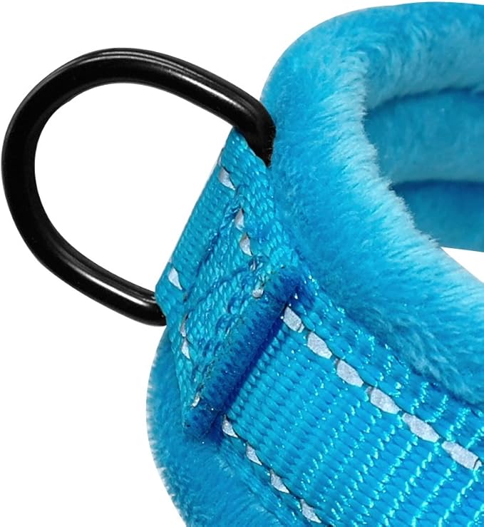 Easy to Put On Dog Harness for Harness-Anxious Dogs
