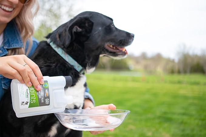 Essential Joint Aid for Dogs