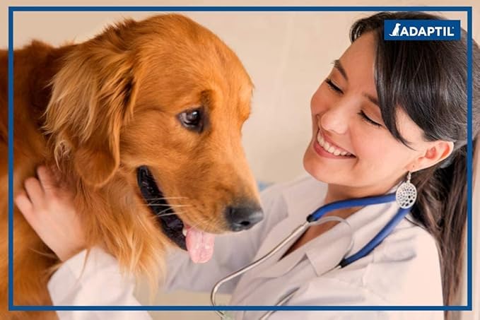 Calming Spray for Travel or Vet Visits