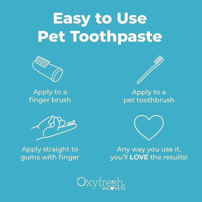 Dog Toothpaste That Your Dog Will Tolerate Well