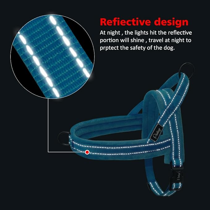 Easy to Put On Dog Harness for Harness-Anxious Dogs