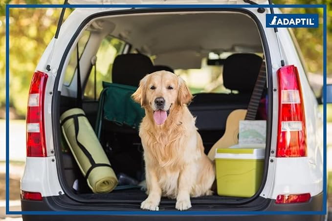 Calming Spray for Travel or Vet Visits