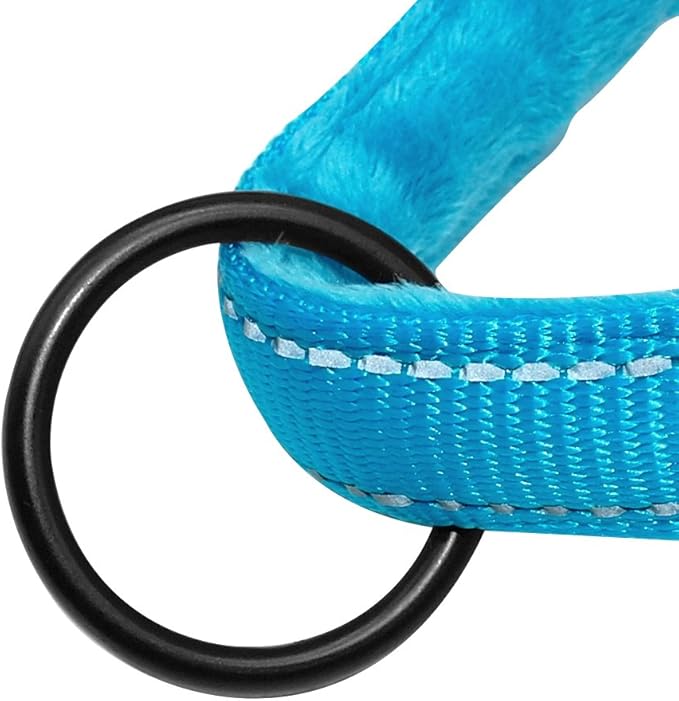 Easy to Put On Dog Harness for Harness-Anxious Dogs