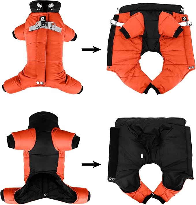 Perfect Warm Winter Coats for Elderly or Chilly Dogs