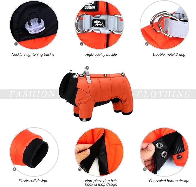 Perfect Warm Winter Coats for Elderly or Chilly Dogs