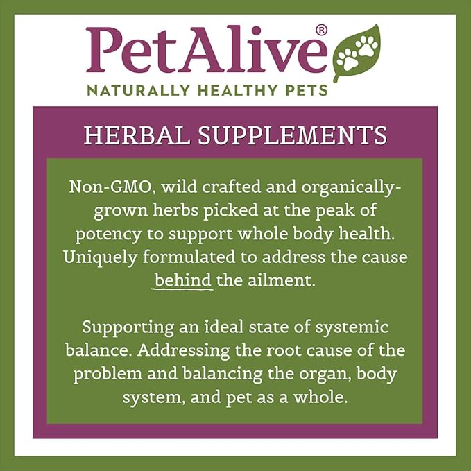Great Product for Pet Seizures & Involuntary Movements