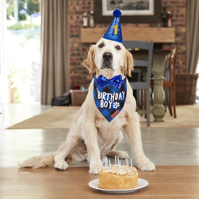 Fun Party Supplies for Your Birthday Boy