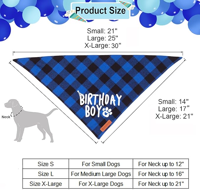 Fun Party Supplies for Your Birthday Boy