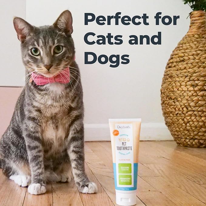 Dog Toothpaste That Your Dog Will Tolerate Well