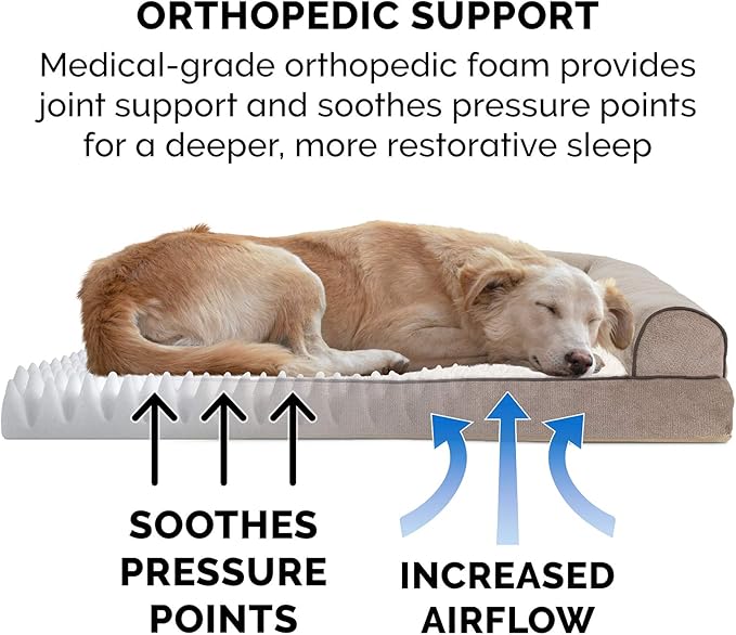 Orthopedic Indoor Pet Beds