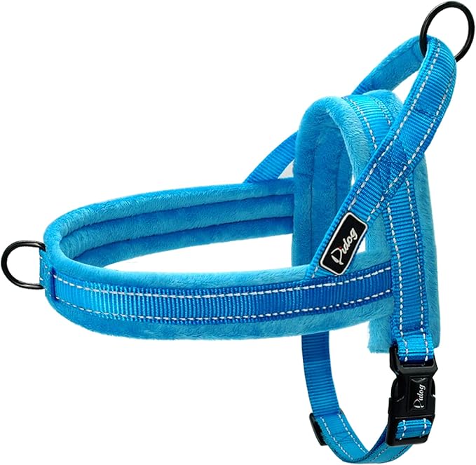 Easy to Put On Dog Harness for Harness-Anxious Dogs