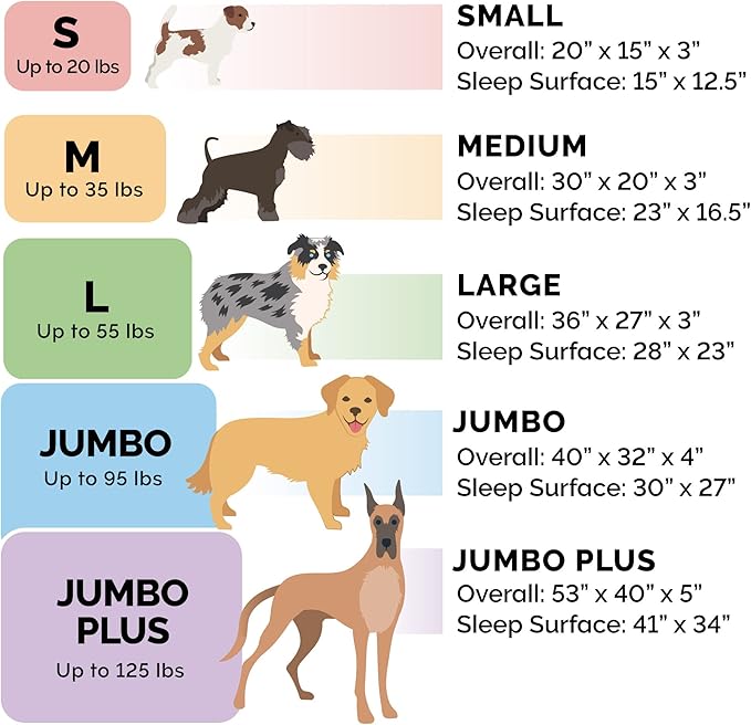 Orthopedic Indoor Pet Beds
