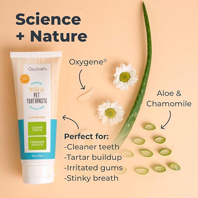 Dog Toothpaste That Your Dog Will Tolerate Well