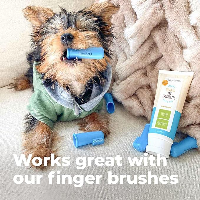 Dog Toothpaste That Your Dog Will Tolerate Well
