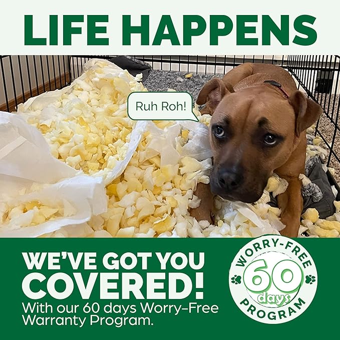 Orthopedic Indoor Pet Beds