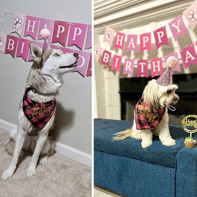 Fun Party Supplies for Your Birthday Girl