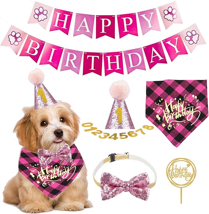 Fun Party Supplies for Your Birthday Girl