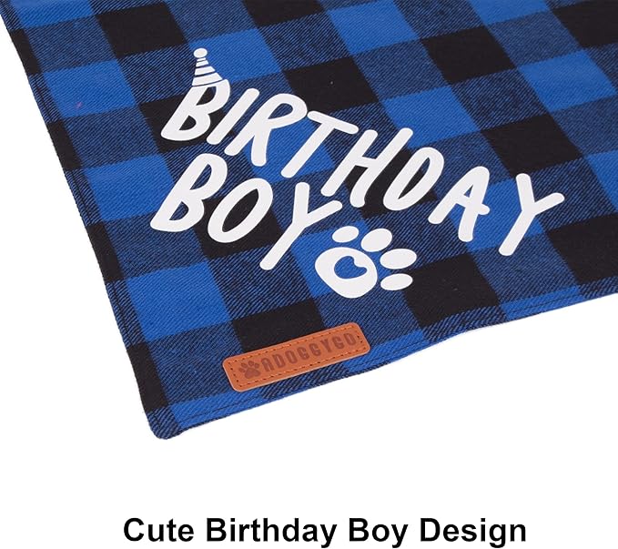 Fun Party Supplies for Your Birthday Boy