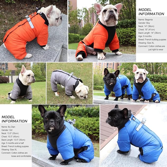 Perfect Warm Winter Coats for Elderly or Chilly Dogs