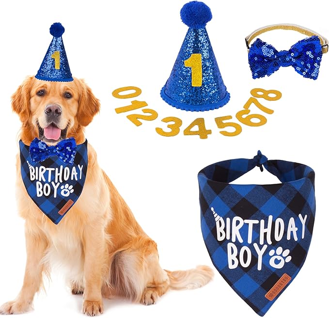 Fun Party Supplies for Your Birthday Boy