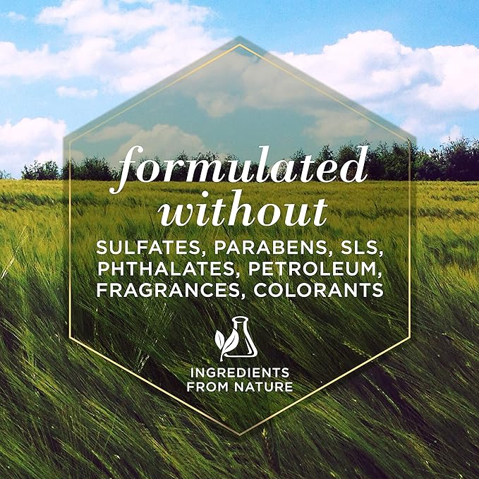 Burts Bees Hypoallergenic Shampoo