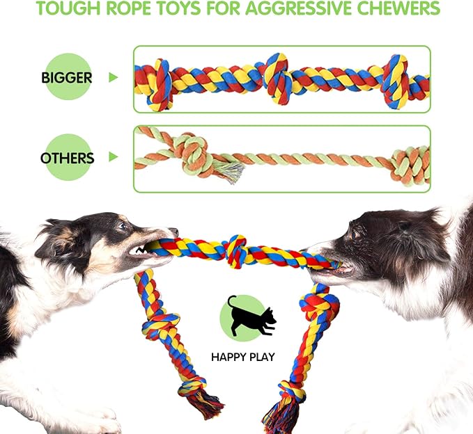 Great Chew Toys That Last
