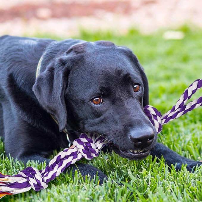 Great Chew Toys That Last