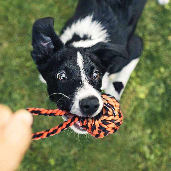Great Chew Toys That Last