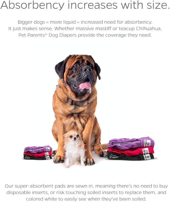Washable Pet Diapers