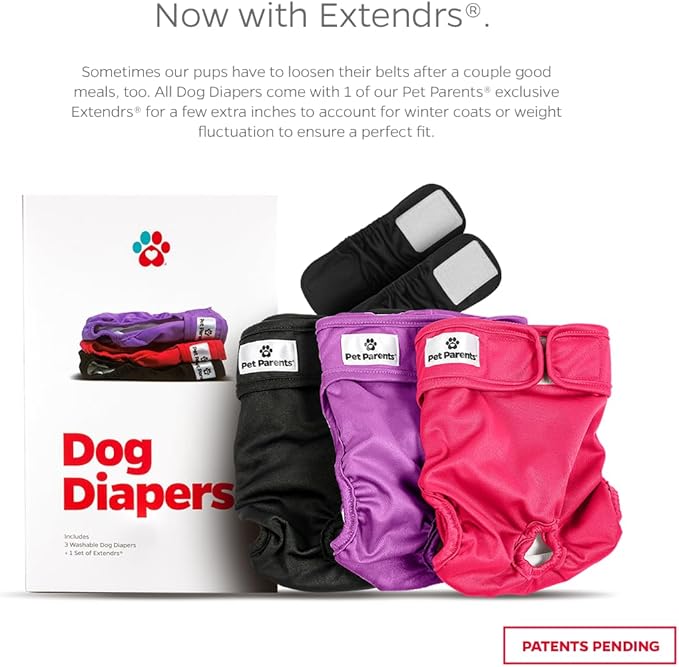 Washable Pet Diapers