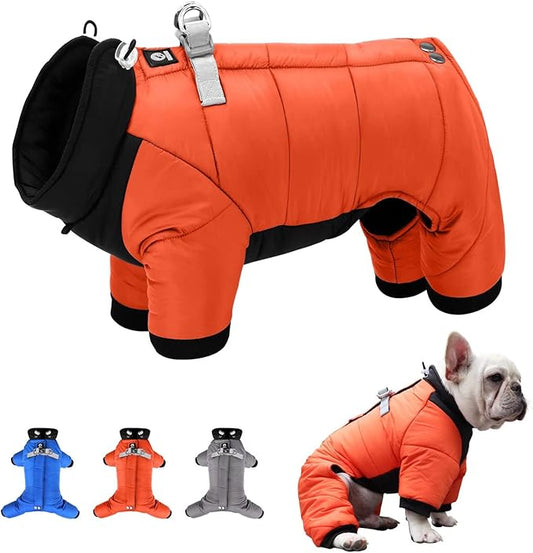 Perfect Warm Winter Coats for Elderly or Chilly Dogs
