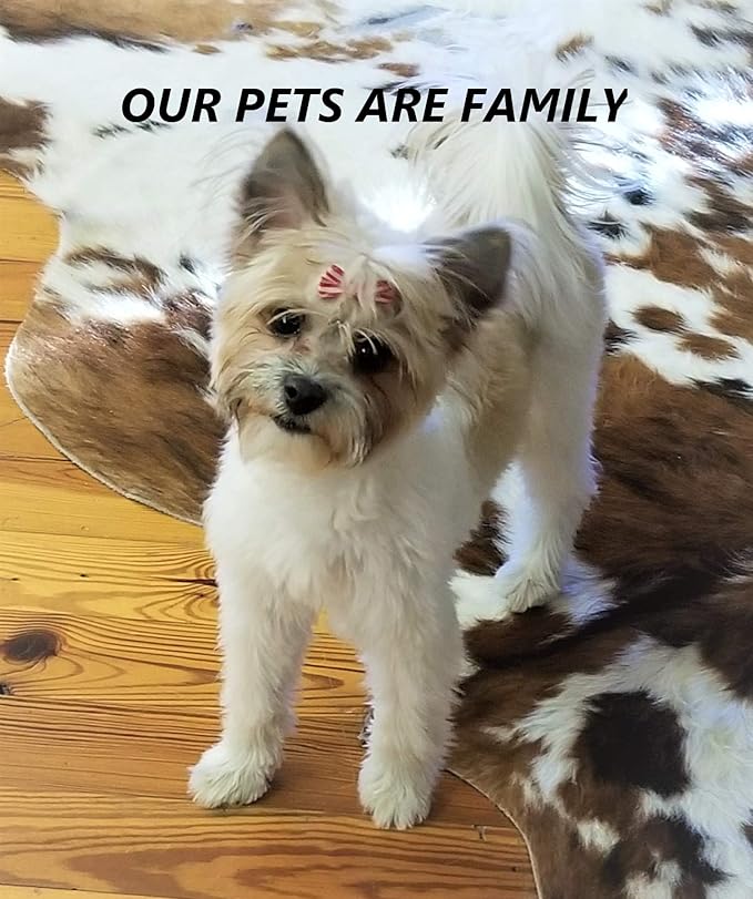 Well-Made Pet Caskets