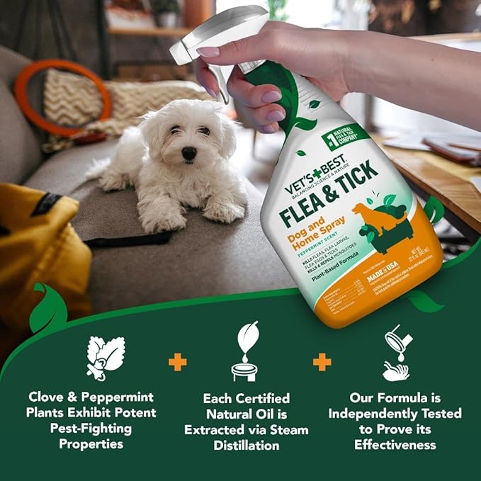 Natural Flea & Tick Spray That Works for Light to Moderate Flea Season