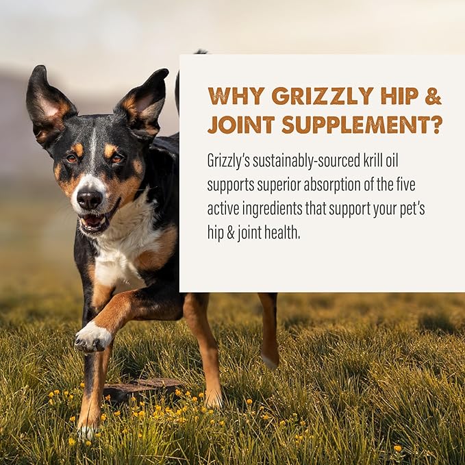 Why grizzly hip and joint supplement