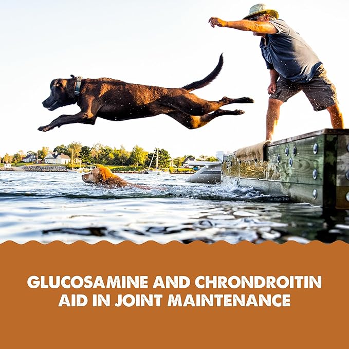 glucosamine and chondroitin for dogs