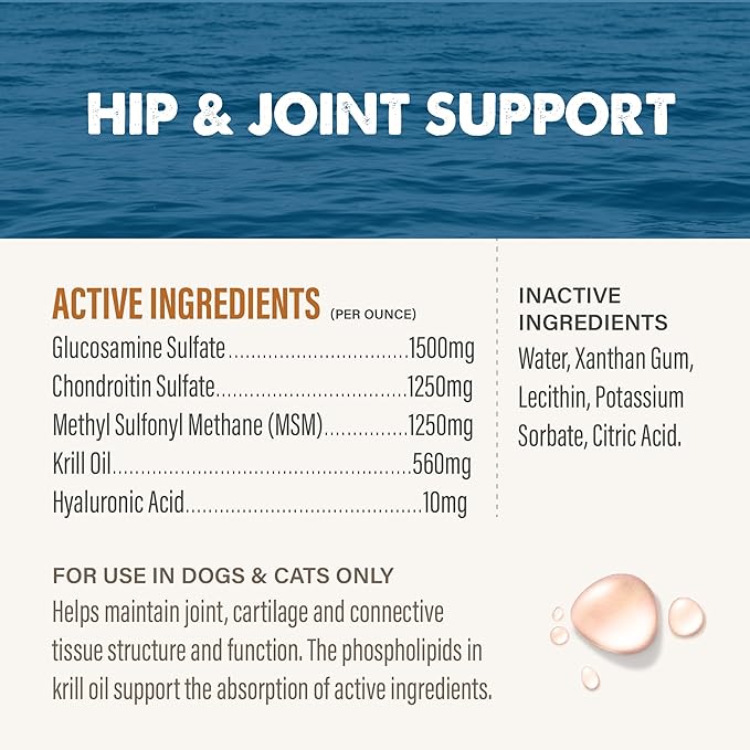 pet hip and joint support
